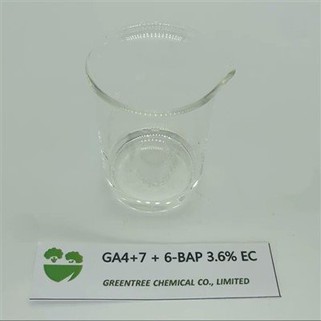Hormone Fáis Planda Apple 6-BA·GA4/7 6-BA GA4 móide 7 3.6 faoin gcéad SL
