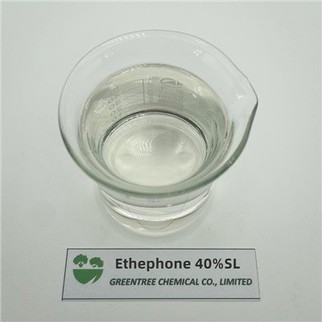 CAS UIMH. 16672-87-0 Hormón Fáis Planda Ethephone Ethephon 40 faoin gcéad SL 40 SL