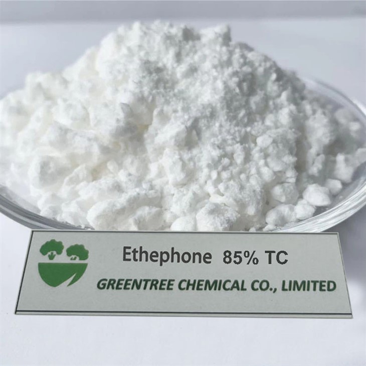 Ethephon Ethephon 85% TC Hormone Plandaí Pgr Aibiú Torthaí