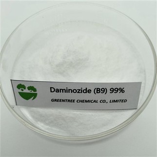 99 faoin gcéad Tc B9 Daminozide Do Chrysantamaim 1596-84-5