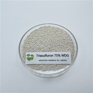 CAS UIMH. 82097-50-5 Luibhicíd Triasulfuron 750 Wdg 75 faoin gcéad WG